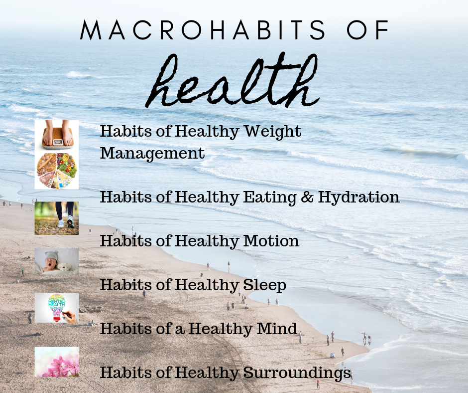 The 6 most important microhabits for a healthy life...healthy weight, healthy eating and hydration, healthy motion and exercise, restful sleep, healthy mind and healthy surroundings and relationships.